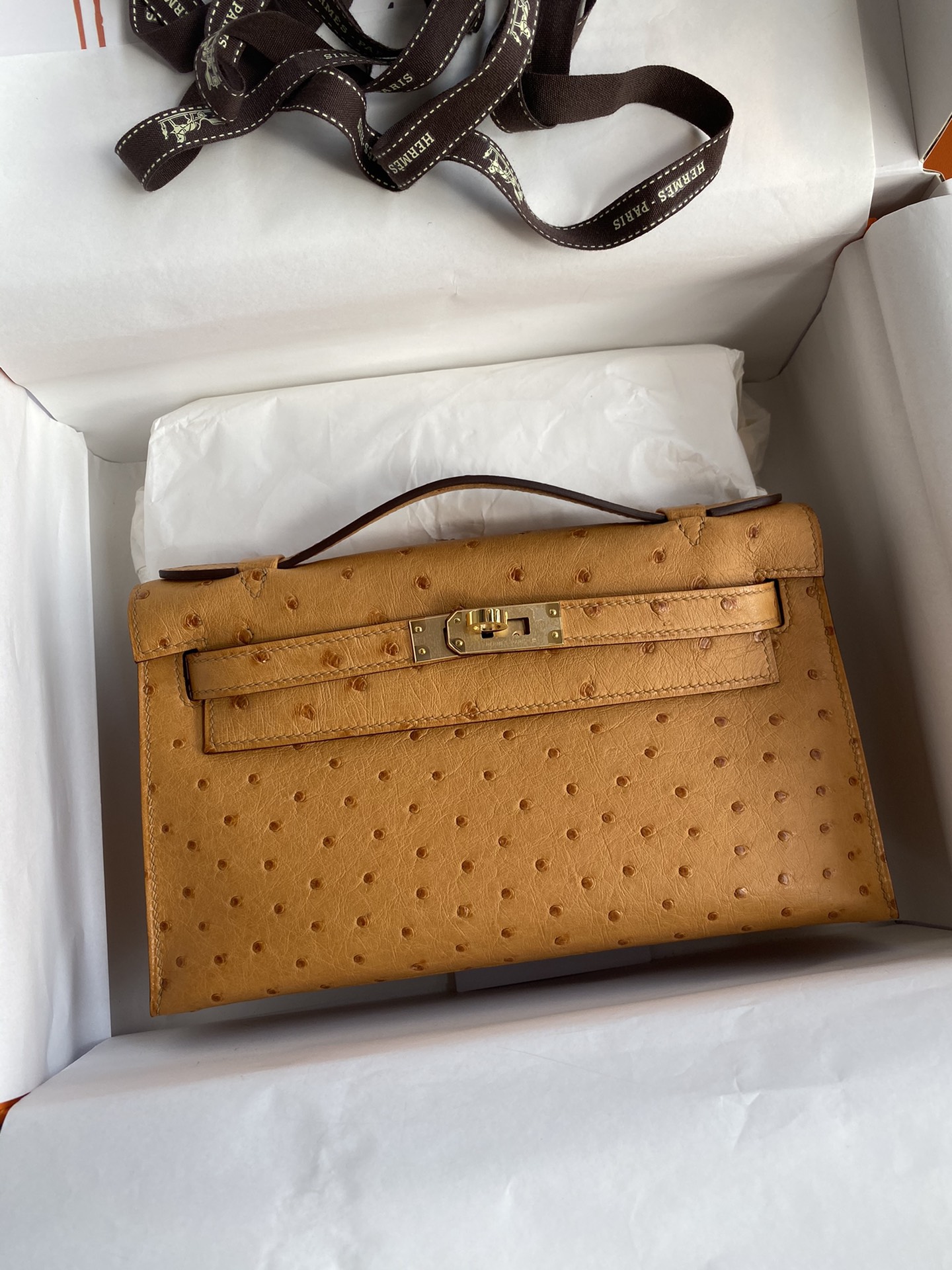 Hermes Mini Kelly Pochette 22cm Bag In Sesame Ostrich Leather